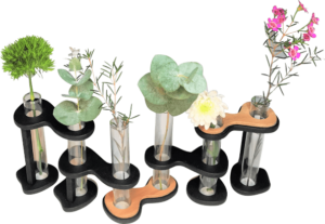 Décoration design fabriquée en France Soliflore DikromA composé de six soliflores en verre articulés par des maillons en bois indépendants. Couleur bois naturel et teinté noir