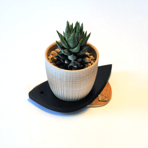 Support pour petite plante oiseau modèle Moineau. Couleur bois naturel et teinté noir.